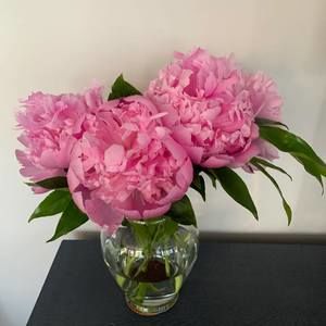 Meet your Posher, Caroline